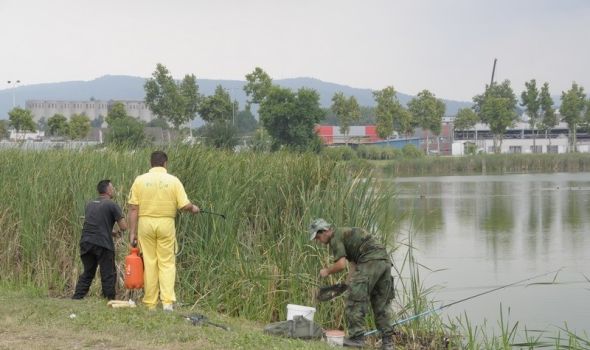 Akcija suzbijanja larvi komaraca u Kragujevcu
