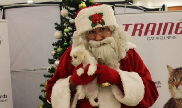 Stiže Deda Mraz za ljubimce, "Crvena šapica" prikuplja paketiće za napuštene životinje