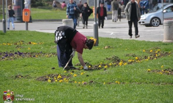 Prolećno uređenje grada: Kompletiranje javne rasvete u Šumaricama, remont česme kod Zelengore