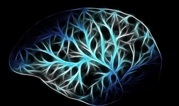 Naučnici: U mozgu umirućih pacijenata primećena neobična aktivnost