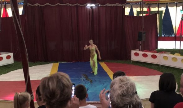 Zabava starija od nove ere: CIRKUS je ponovo u Kragujevcu, mališani oduševljeni