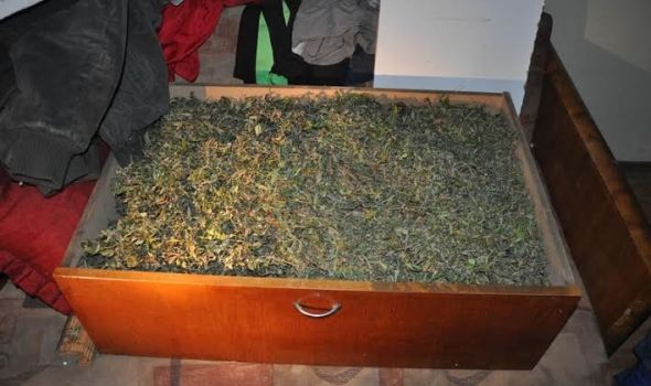 Pali dileri u Kragujevcu: Zaplenjeni kokain, spid, marihuana i oružje