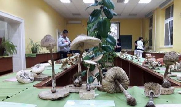 Jubilarna Izložba gljiva na PMF-u