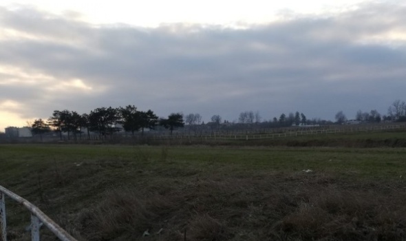 Tragedija na Hipodromu: Uginulo nekoliko konja, drugima se bore za život