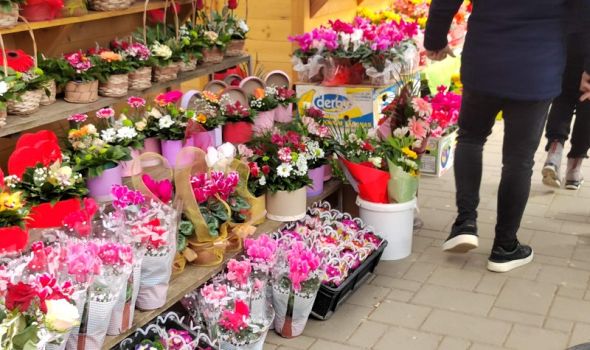 Osmomartovska "groznica" trese Kragujevac: Gužve kod uličnih prodavaca cveća, u cvećarama se čeka (FOTO)