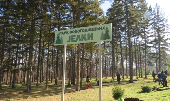 U petak sadnja u Parku novogodišnjih jelki