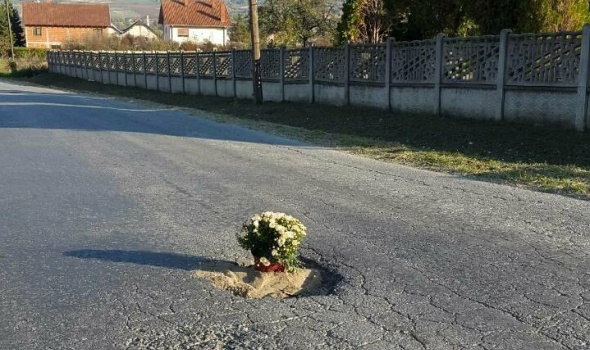 I kad je muka, duhovitost ne izostaje: Udarnu rupu ukrasili saksijom cveća