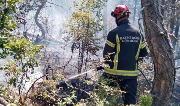 Povećan broj požara na otvorenom - Kočović: Apel građanima da budu odgovorni - Pojačana kontrola, kazne i do MILION
