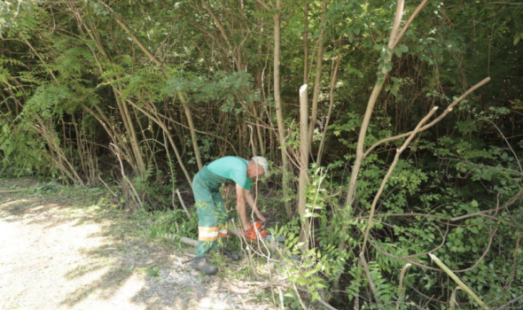 Košenje i krčenje nepoželjne vegetacije pored lokalnih puteva (FOTO)